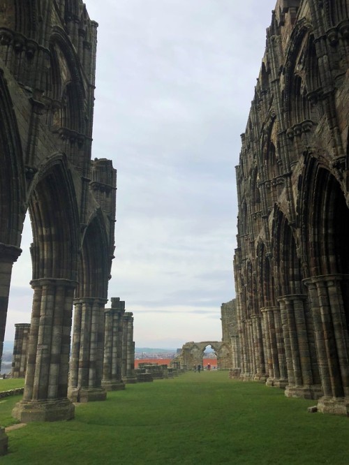 Visiting Whitby Abbey a few weekends ago, worth the famous 200 steps to get there for the wonderful 