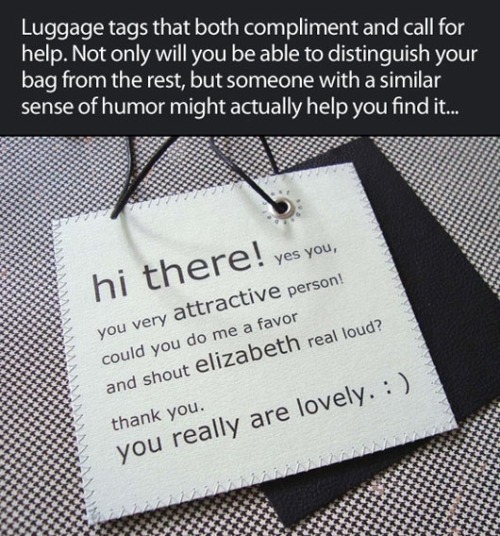 camiekahle:aktigerlily:Creative luggage tags.Awesome