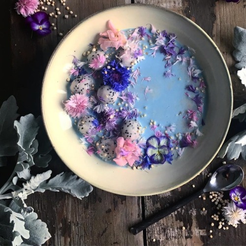 dredescovering: ♡