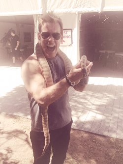 Dame Jericho! That’s a huge snake!