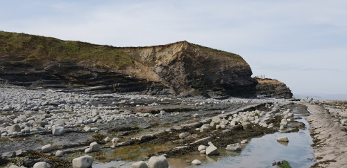 geologicaltravels:2018: Folding and faulting in the early Jurassic Blue Lias Formation, near Kilve, 