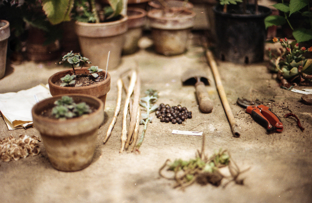 allthateverwasorwillbe:  (by Arianna Petri) 