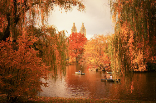 Autumn: The Lake and Willow Trees - Central Park - New York City