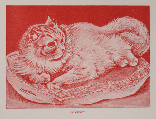 bunny-realness: comfort, louis wain