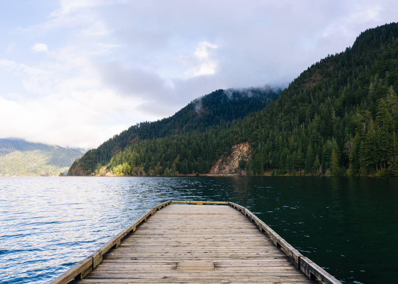 Fucking home ❤️❤️😍 Stormking dock at Lake Crescent 