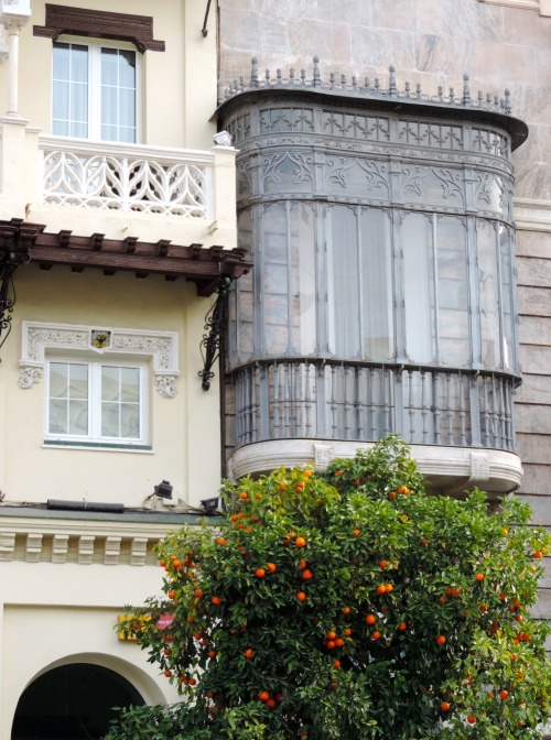 Fachadas de casas con un árbol de naranja, Sevilla, 2016.In winter the orange trees used as street t
