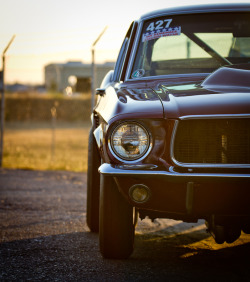 automotivated:  (via 500px / Photo “Mustang