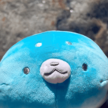 Seal Plushies