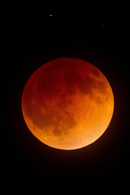 Porn de-preciated:  Total Lunar Eclipse, April photos