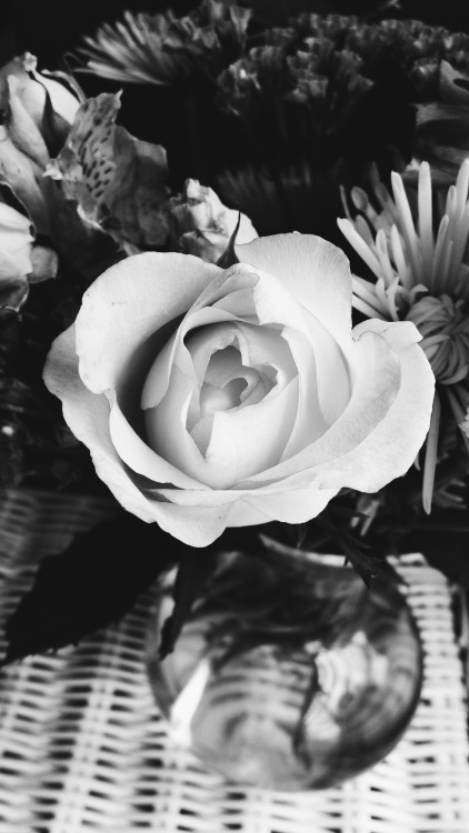 Porcelain to Ivory to Steel