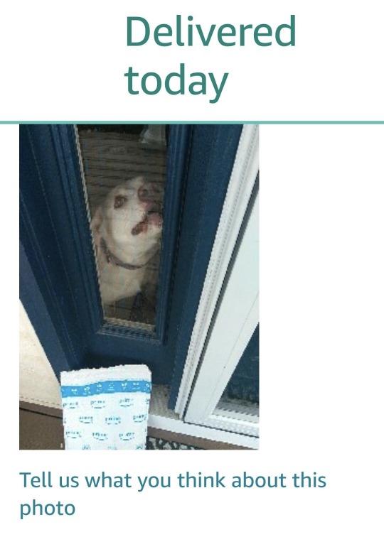 sleepy-bebby:Your package has been delivered! 📦