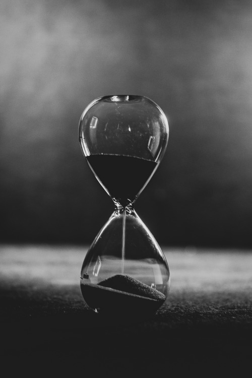 ramonasphotos:  .