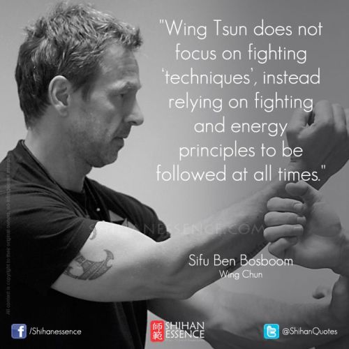 swordstaichikungfuwingchun:  The way to be a kung fu master!! Great quotes for you!! Buy professional Tai Chi Swords on: http://www.icnbuys.com/tai-chi-swords  Follow back 