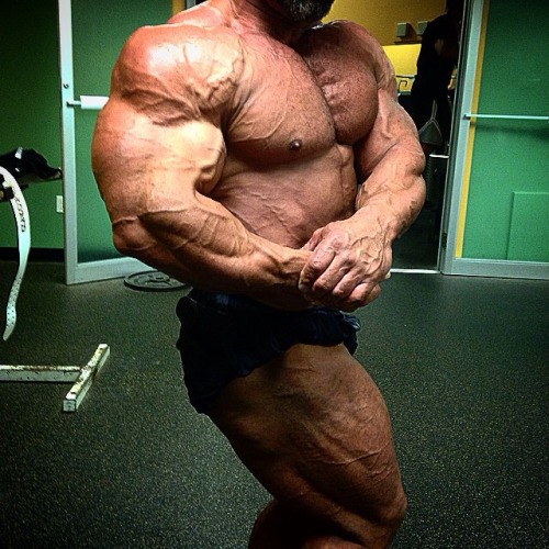 fanomuscle:  Jose Raymond 
