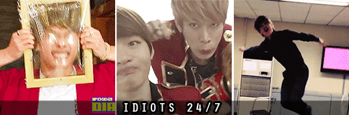 dyodaisy:   What to expect when stanning idiots BTOB.   