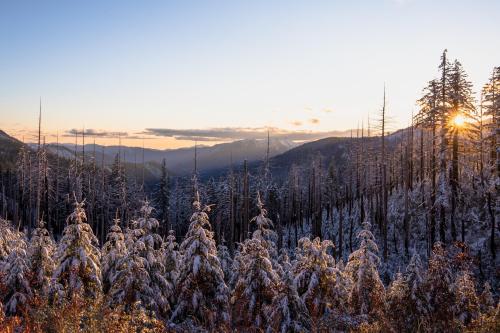 naturezem