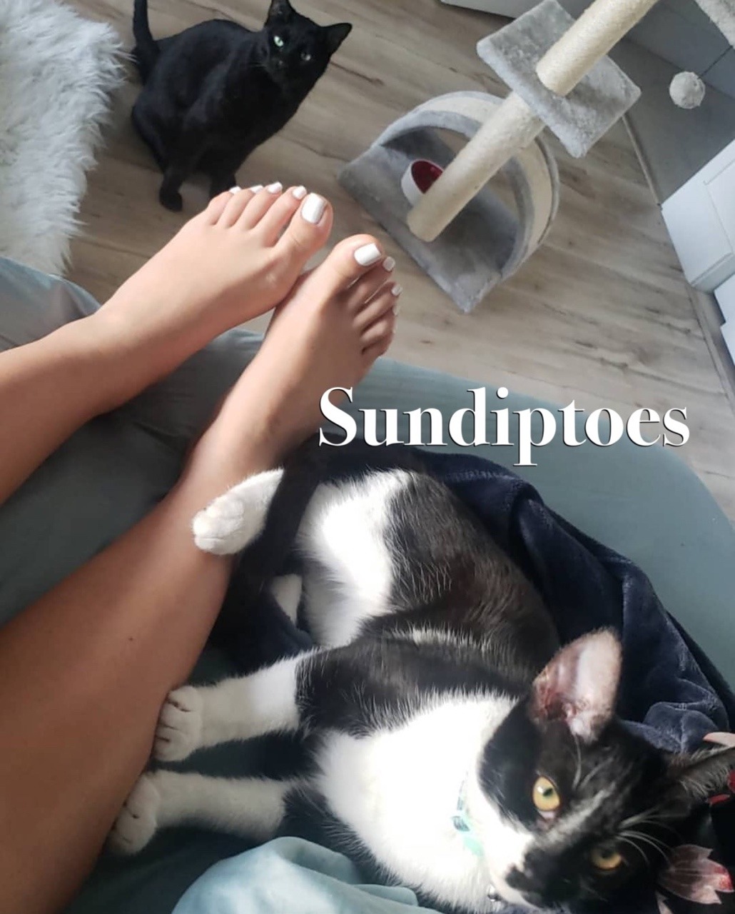 8375955:  sundiptoes:  🐈 🐈 ‘s &amp;🦶🦶   Favorite 