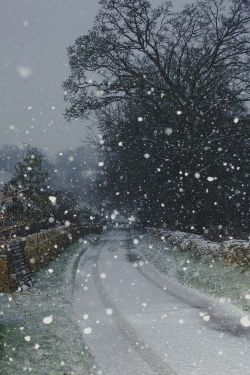 Bluepueblo:  Snowy Day, The Cotswold, England Photo Via Tisha 