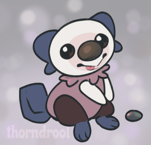 Quick And Sillay Pokefusion Of Oshawott And Stufful.... I Gave It A Pebble Instead Of A Shell Bc Fightig