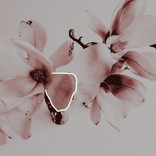 kylorensz:which greek goddess are you? challange↴                                                   