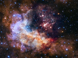 humanoidhistory:  The Hubble Space Telescope takes a deep look into the Westerlund 2 star cluster, roughly 20,000 light-years from Earth.(HubbleSite)