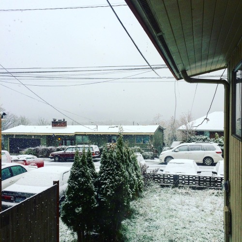 snow snow snow snow!!!!!!!!!!