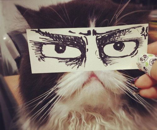 asylum-art:  Fake Cartoon Eyes for Cats Make Everything Better  Via:  kotaku Japanese Twitter users have started a new photo trend called ‘neko montaaju’ (aka ‘cat montage’) that has cat owners turning their feline friends into facially expressive