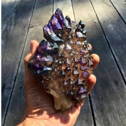 darksideoftheshroom:    This amazing piece is covered in elestial growth smokey Quartz with amethyst zoning  