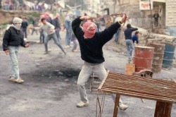 diaspora: justanotherpalestinian:  December 8th, 1987: the first Palestinian Intifada (revolt). Today marks the 26th year of the first Intifada. We gave birth to resistance.  Today is the 30th anniversary.  