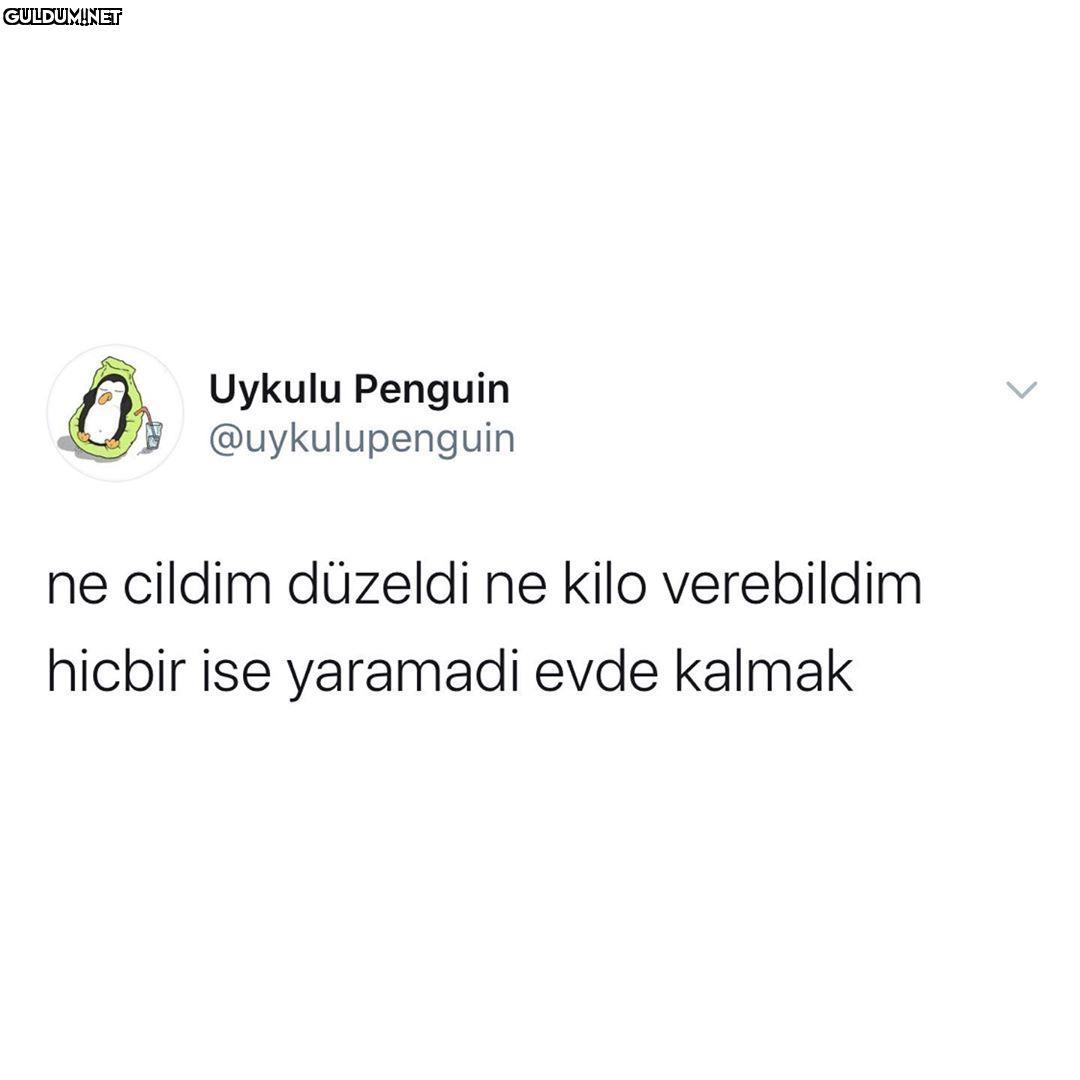 Üstüne bir de kilo aldık...