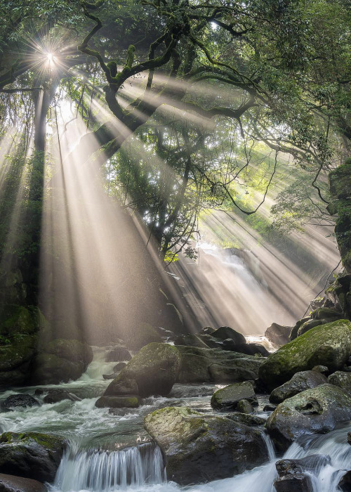 coiour-my-world:  Source of life | Kumamoto, Japan | by hrk1108