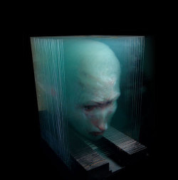 guywithtime2kill:  Amazing 3D-art painted on glass panes by Xia Xiaowan http://ift.tt/1AzlaFw 