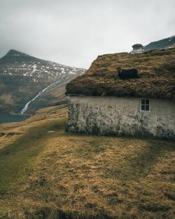 gorgeousnessandgorgosity:  myfairylily:Faroe