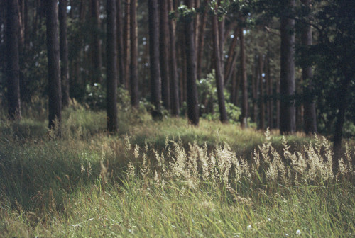 asiwaswalkingallalone:  by farbstich. flic.kr/p/LDdNxw