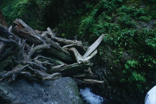 Oneonta Gorge in the Colombia River GorgeOregonJuly, 2017Website