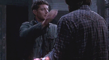 sammy-samulet:  guardian: /noun/   a defender, protector, or keeper.   