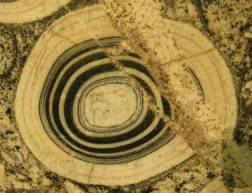 Orbicular graniteWe recently shared a photo of a Rapakivi granite, which contains grains of pinkish 