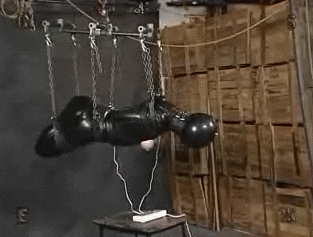 Technician’s Log: Subject 223 “Erica” - Hypnotic Reconditioning Experiment
