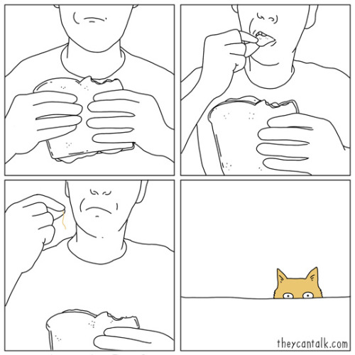 theycantalk:your hair, it’s everywhere