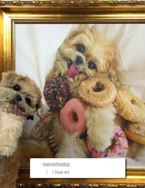 srsfunny:  A Real Masterpiecehttp://srsfunny.tumblr.com/ 