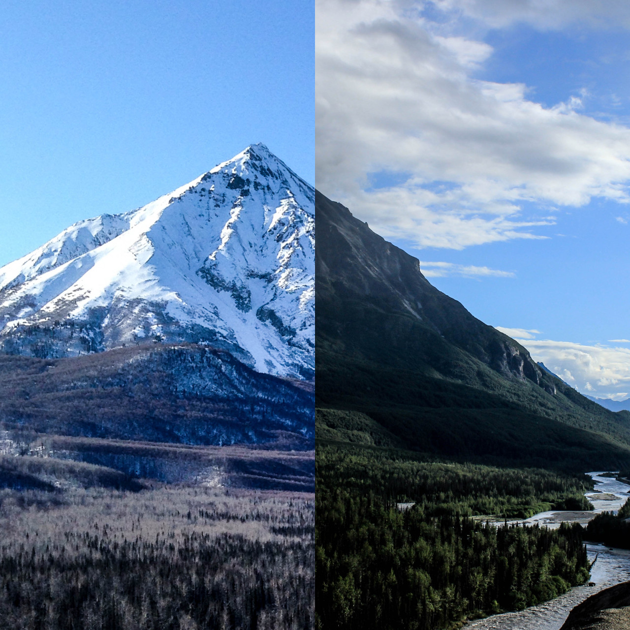 norafleischer:   Winter and Summer. King Mountain. Alaska 