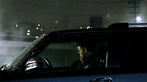 Scott McCall, Alpha Werewolf And Veterinary Nurse, Was Living A Relatively Normal Life Until His Mother