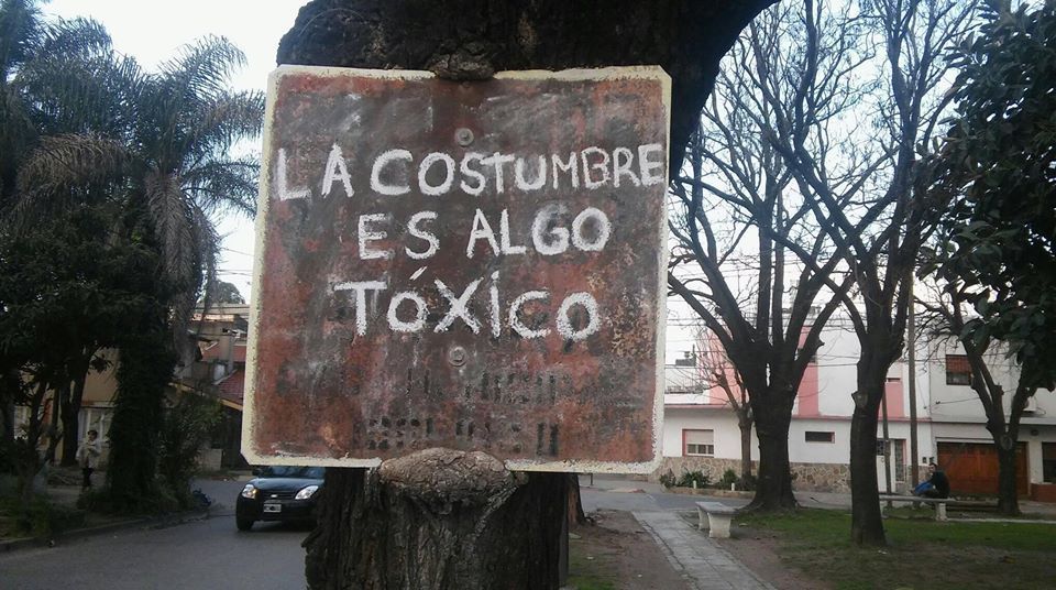 un-blog-mas-de-alguien-normal: Ese árbol tiene razón.