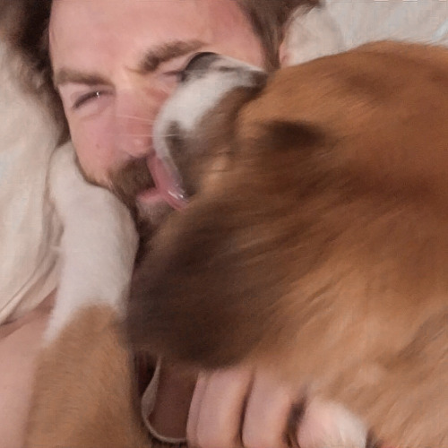 Cevans + Dodger