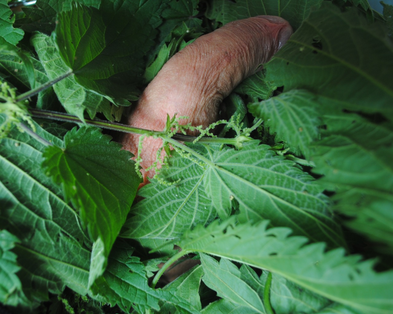 Look what’s hidden in the nettle bushes.