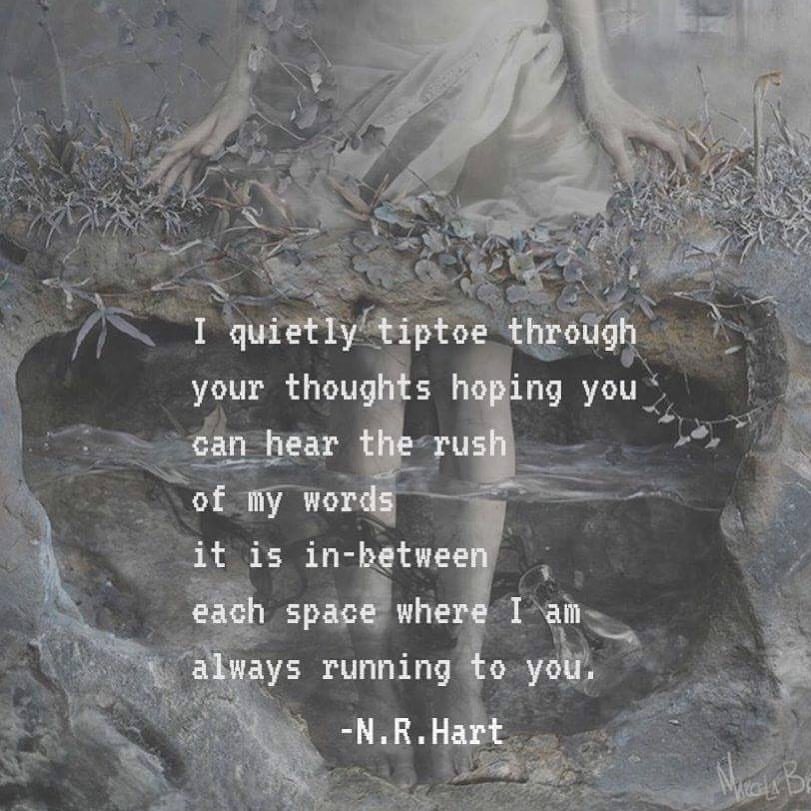 adscoupleslove: nrhartauthor:  “Tiptoe” 🖤 @n.r.hart #nrhart #nrhartquotes