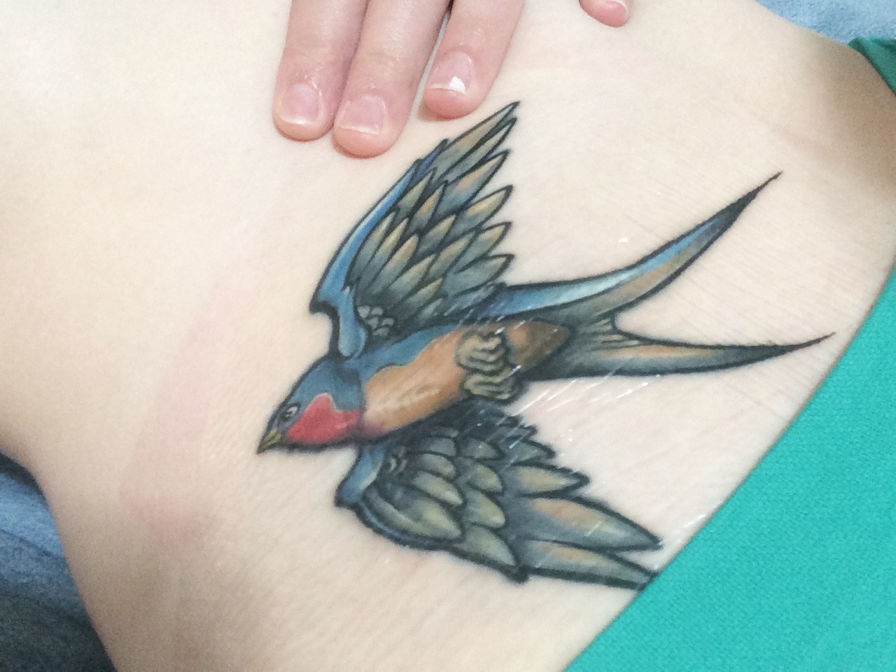 kittens-kloset:  Finally got my swallow tattoo fixed after 8+ years! Still have the