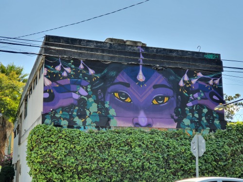 “Oculta” by Anis in La Roma, Mexico City.