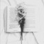 boosstories