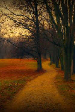 wasbella102:  Follow the Mystical Path by  Allan Cabrera  favorite-season:  i miss the warmer months when walking was possible. granted, it&rsquo;s not IMPOSSIBLE now; it&rsquo;s just fucking miserable